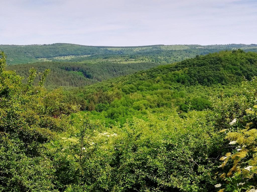 hdr - Gyertekvelem kilátás a siroki várból