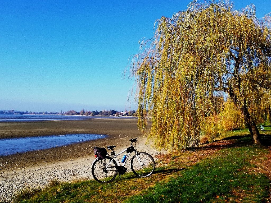 hdr - Gyertekvelem öreg-tó fűzfája