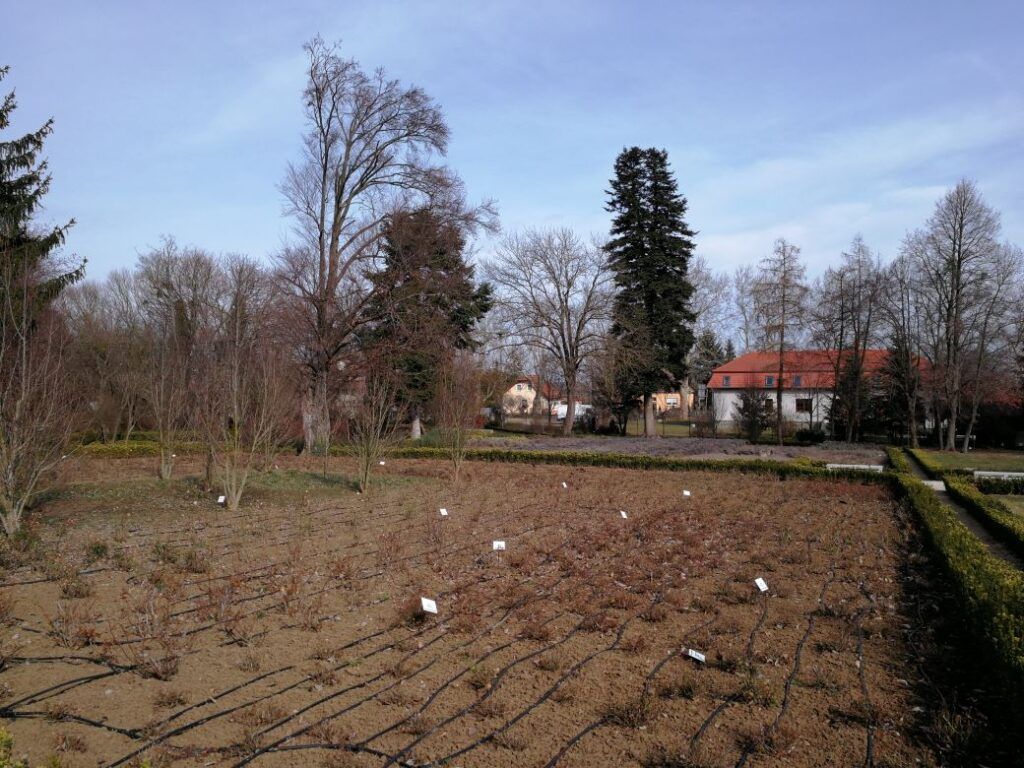 szeleste - Gyertekvelem Szeleste arborétum