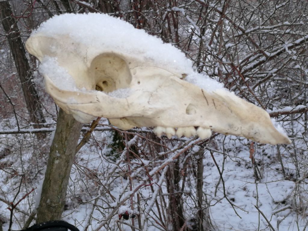 totem - Gyertekvelem Totem egy ösvény mellett