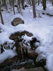 Mária forrás Bükk