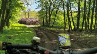 MTB-vel a dózerúton Koldusszállás környékén