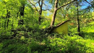 Kisréti vadászház romja, már csak a pince látható