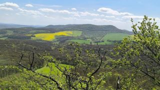 Kilátás a Gerecsei Pes-kőről