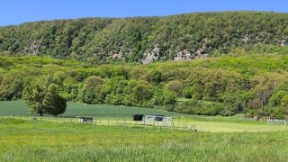 Vértestolna focipálya, háttérben a Gerecse egyik vonulata