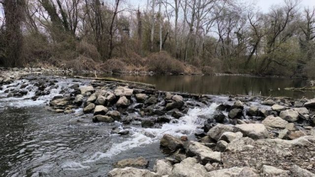 Az Által-ér kora tavasszal