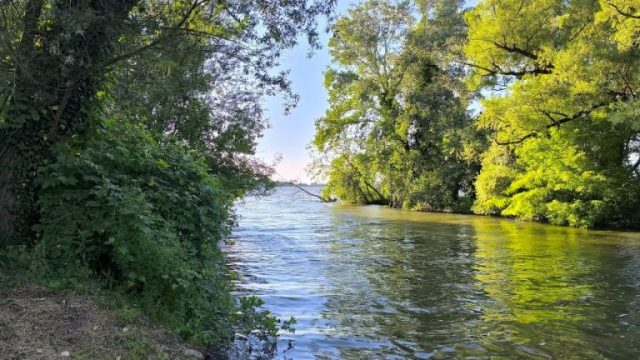 Az Által-ér tavasz végén