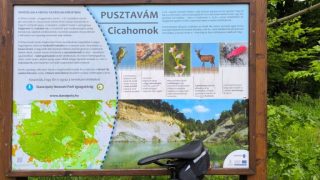 A Vértes megszűnő tava a Cicahomok. Rekultiváció alatt van.