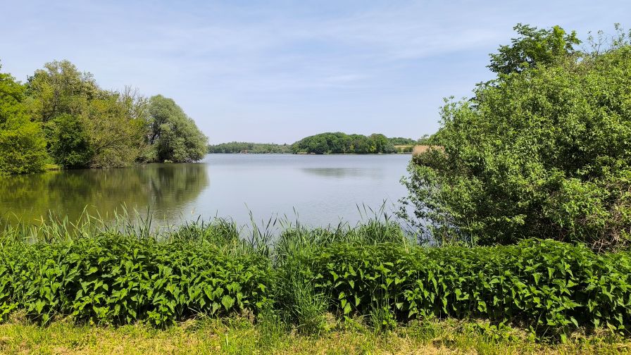 Vizes élőhely, Deseda-tó