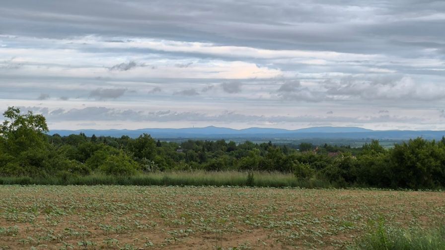 A távolban a Mecsek vonulata, Igalról nézve