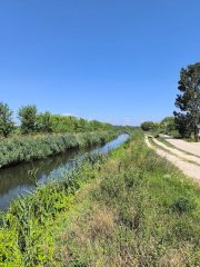 Az Által-ér Derítő-tó előtti szakasza