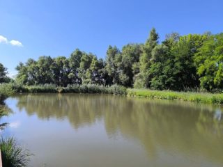 Az Által-ér közvetlenül a Derítő-tó előtt