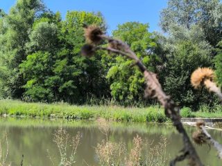 Itt folyik be az Által-ér a Derítő-tóba