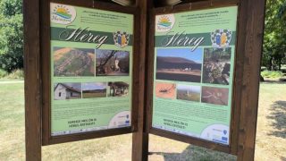 Információstábla Héregről