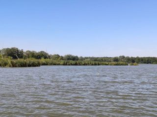 Néhány elszáradt fa az elárasztott területen