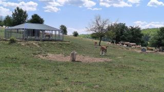 Állattartás a Galyaságban