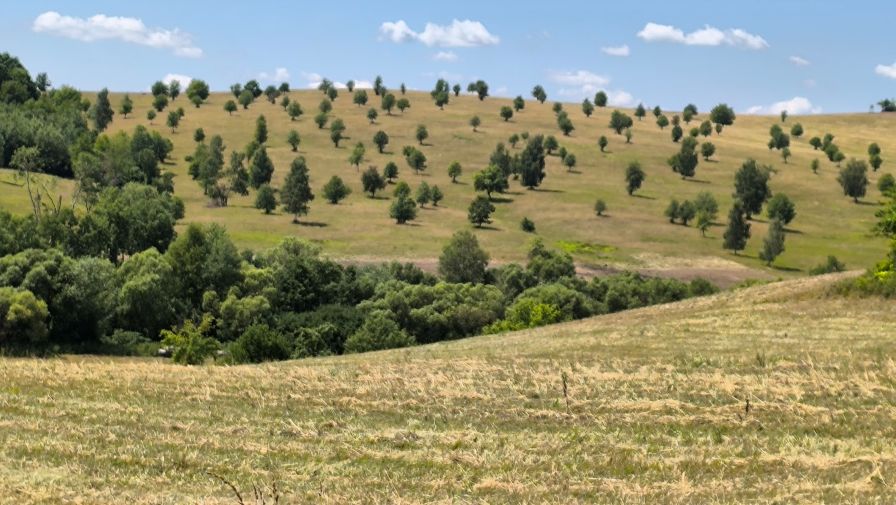 Bringázás a Galyaságban