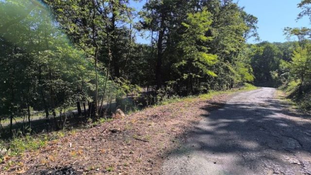 Erdészeti út Kelemér után