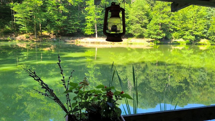 Bringával a keleméri erdőben. Egy halastó partján a halőrház teraszán