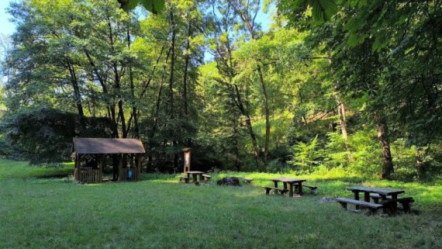 Pihenő a Pálma-forrásnál