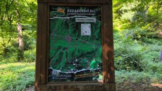 Pálma-forrás információstábla