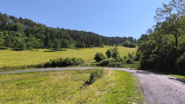 Hajtűkanyar a mezőn