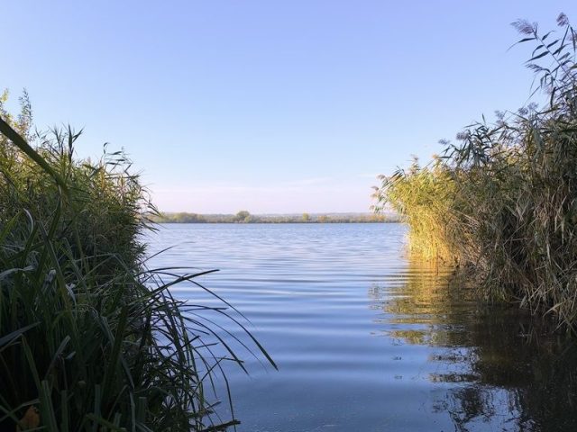 kanyavari-sziget-nadas Kilátás a Kis-Balatonra a Kányavári-szigetről