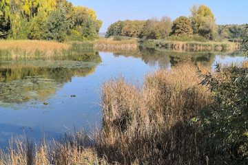 Kis-Balaton őszi napsütésben