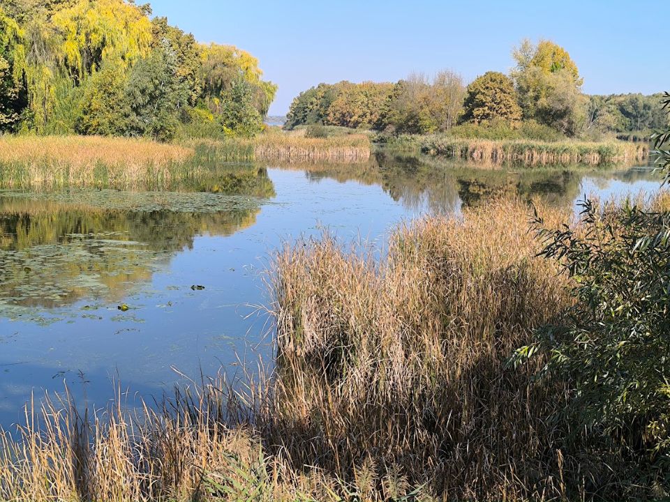 kis-balaton-nadas - Gyertekvelem Kis-Balaton őszi napsütésben