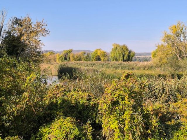 kis-balaton-zalai-dombsag Háttérben a Zalai-dombság