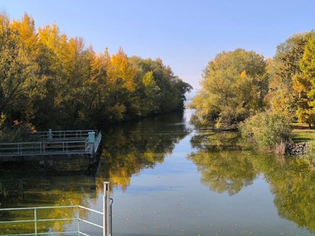 oszi-szinek-kis-balaton Fasor tükörképe a vízen