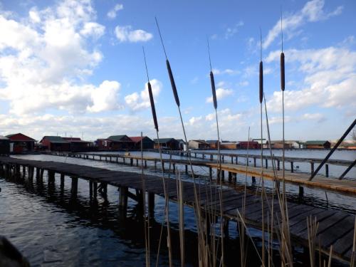 nadas-a-lebego-falunal