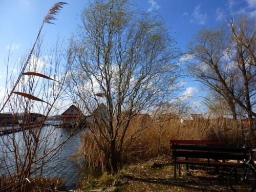 tavasz-a-bokodi-tonal