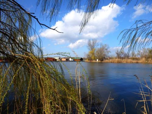 A lebegő falunál, Bokodi-tó