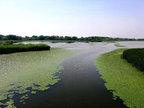 Vízi ösvény a Tiszán