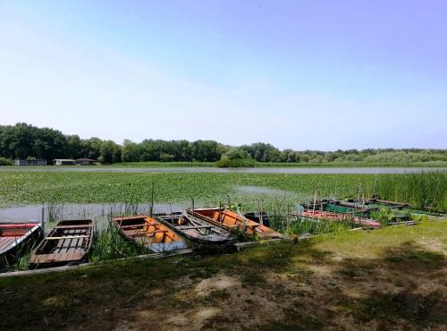 Ladikok kikötve a Tisza-tavon