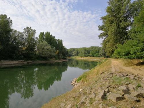 tiszabecsnel-a-tisza