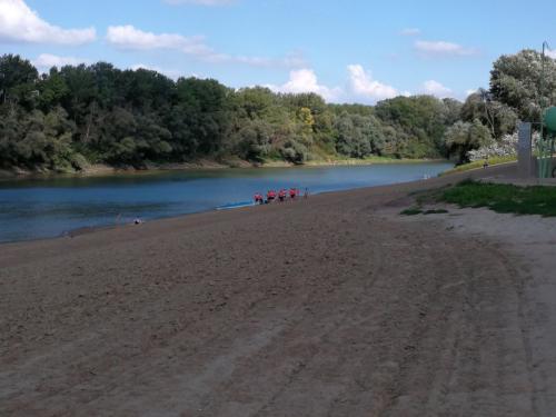 tiszakecske-vizitura-kikoto