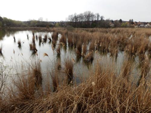 hazak-es-nadas-kornye-vertes-tavai