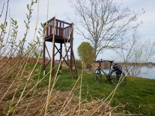 kornyei-to-madarmegfigyelo